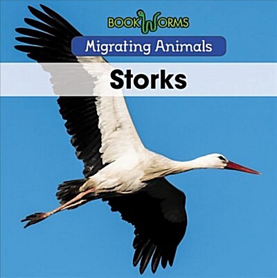 Storks (Paperback)
