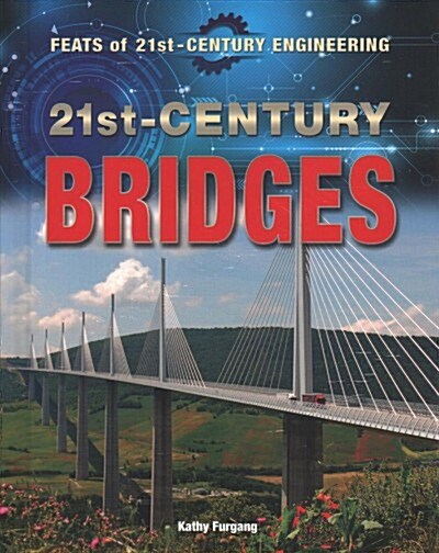 21st-Century Bridges (Library Binding)