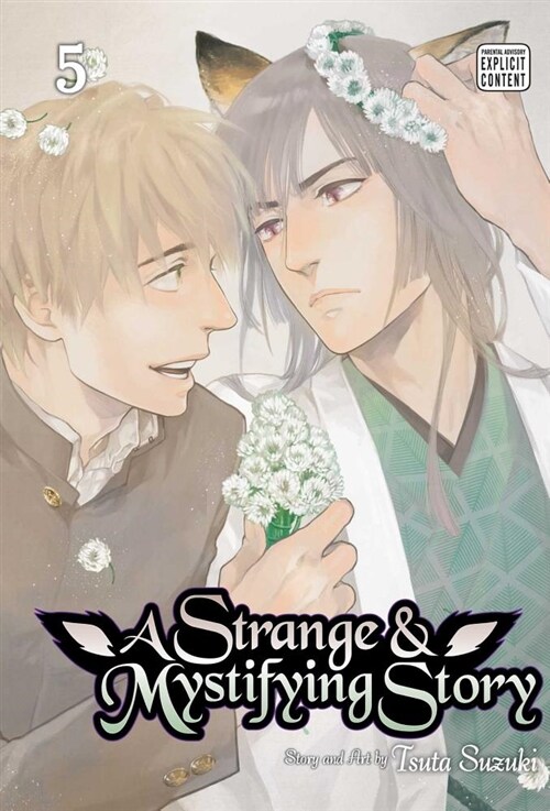 A Strange and Mystifying Story, Vol. 5 (Paperback)