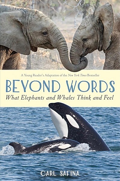 Beyond Words: What Elephants and Whales Think and Feel (a Young Readers Adaptation) (Hardcover, Young Readers)