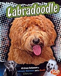 Labradoodle: A Cross Between a Labrador Retriever and a Poodle (Hardcover)