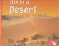 Life in a Desert (Library Binding)
