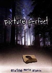 Picture Perfect (Hardcover)