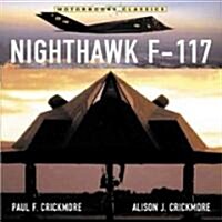 Nighthawk F-117 Stealth Fighter (Paperback)