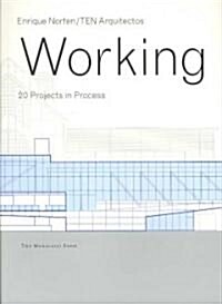 Working: 20 Projects in Process (Paperback)