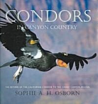 Condors in Canyon Country (Hardcover)