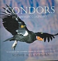 Condors in Canyon Country (Paperback)