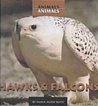 Hawks & Falcons (Library Binding)