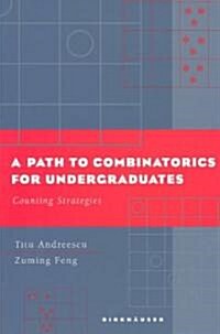 A Path to Combinatorics for Undergraduates: Counting Strategies (Paperback, 2004)