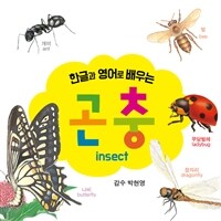 (한글과 영어로 배우는) 곤충 : insect