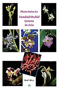 Photo Intro to: Vandoid Orchid Genera in Asia (Paperback)