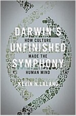 Darwin's Unfinished Symphony: How Culture Made the Human Mind (Paperback)