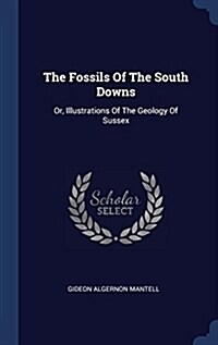 The Fossils of the South Downs: Or, Illustrations of the Geology of Sussex (Hardcover)