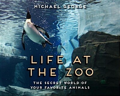 Life at the Zoo (Hardcover)