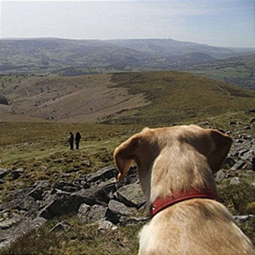 Wonderful walks from Dog-friendly campsites throughout Great Britain (Paperback)