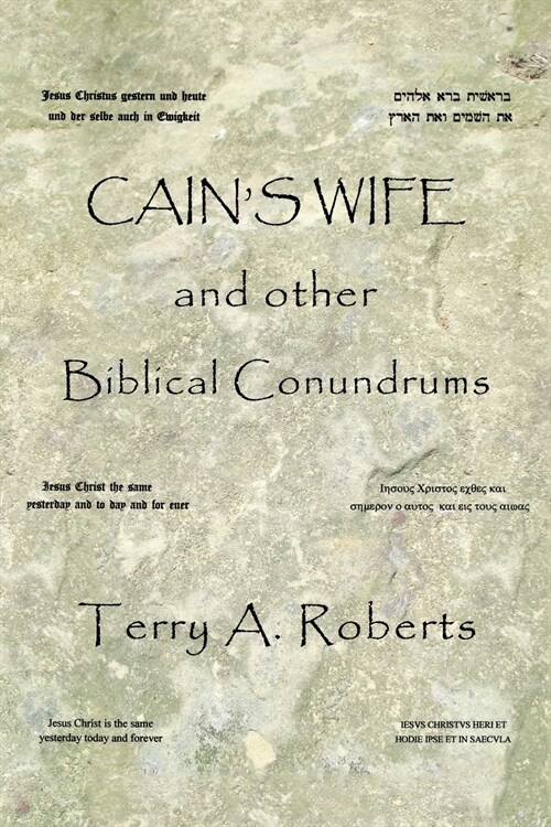 Cains Wife and Other Biblical Conundrums (Paperback)