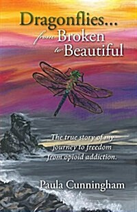 Dragonflies...from Broken to Beautiful (Paperback)