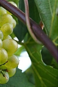 Winegrowing Notebook: 150 Lined Pages, Softcover, 6 X 9 (Paperback)