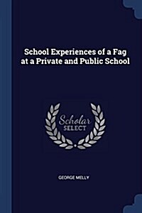 School Experiences of a Fag at a Private and Public School (Paperback)