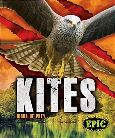 Kites: Birds of Prey (Library Binding)