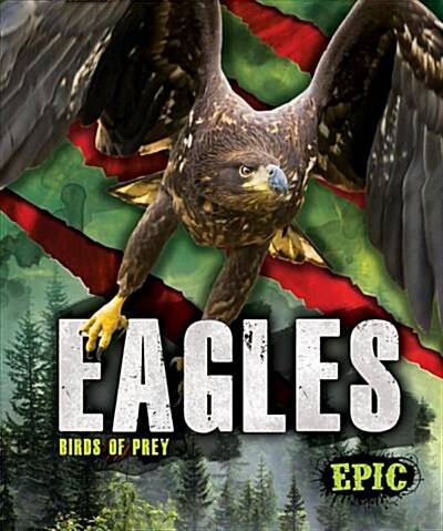 Eagles (Library Binding)