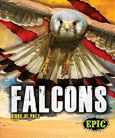 Falcons (Library Binding)