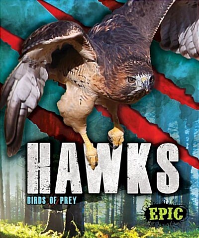 Hawks: Birds of Prey (Library Binding)