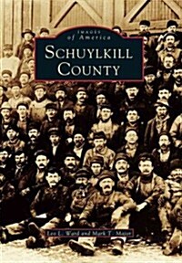 Schuylkill County (Paperback)