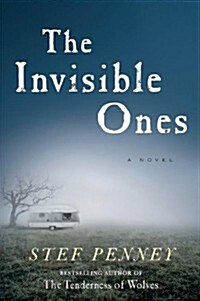 The Invisible Ones (Hardcover, Large Print)