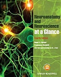 Neuroanatomy and Neuroscience at a Glance (Paperback, 4, Revised)