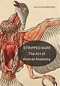 Stripped Bare: The Art of Animal Anatomy (Hardcover)