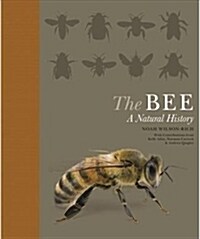 The Bee: A Natural History (Paperback)