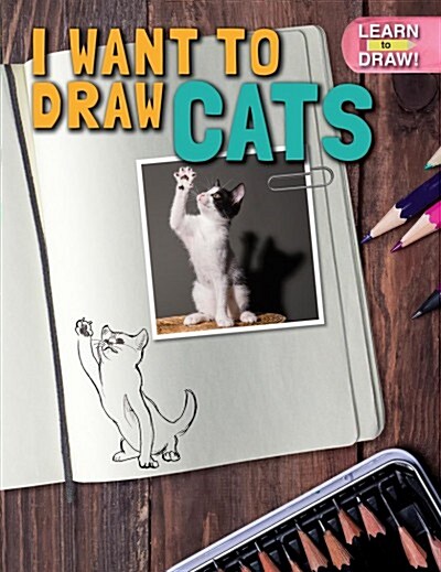 I Want to Draw Cats (Paperback)