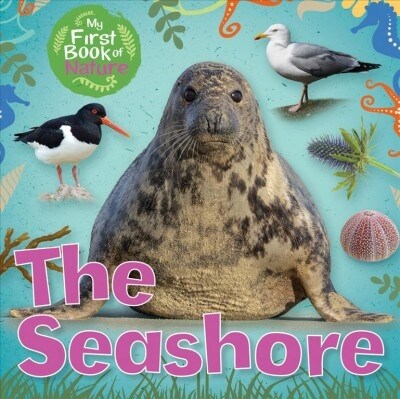 The Seashore (Library Binding)