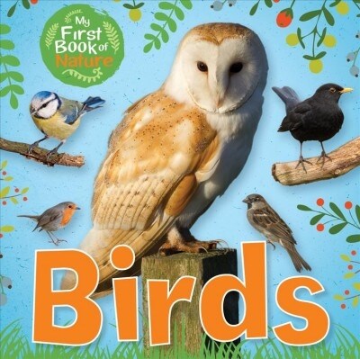 Birds (Paperback)