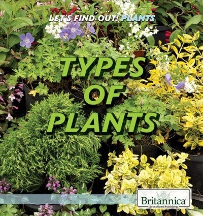 Types of Plants (Paperback)