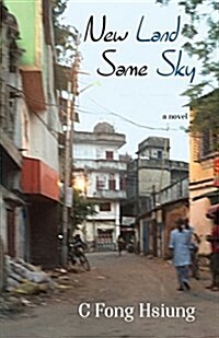 New Land Same Sky (Paperback)