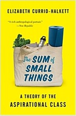 The Sum of Small Things: A Theory of the Aspirational Class (Paperback)