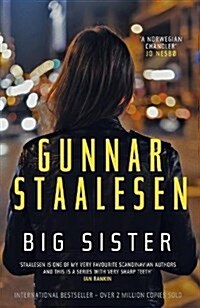 Big Sister (Paperback)