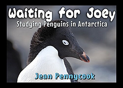 Waiting for Joey: An Antarctic Penguin Journal (Hardcover)