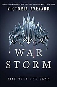 War Storm (Library Binding)