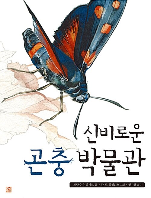 신비로운 곤충 박물관