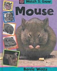 Mouse (Library)