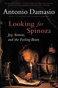 [중고] Looking for Spinoza: Joy, Sorrow, and the Feeling Brain (Paperback)