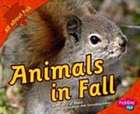 Animals in Fall (Library Binding)