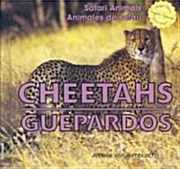 Cheetahs / Guepardos (Library Binding)