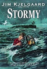 Stormy (Paperback)