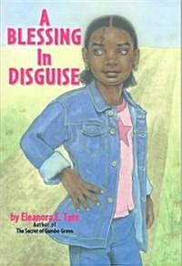 Blessing in Disguise (Paperback)