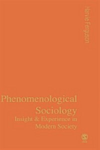 Phenomenological Sociology: Insight and Experience in Modern Society (Hardcover)