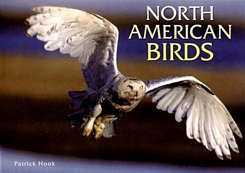 North American Birds (Hardcover)